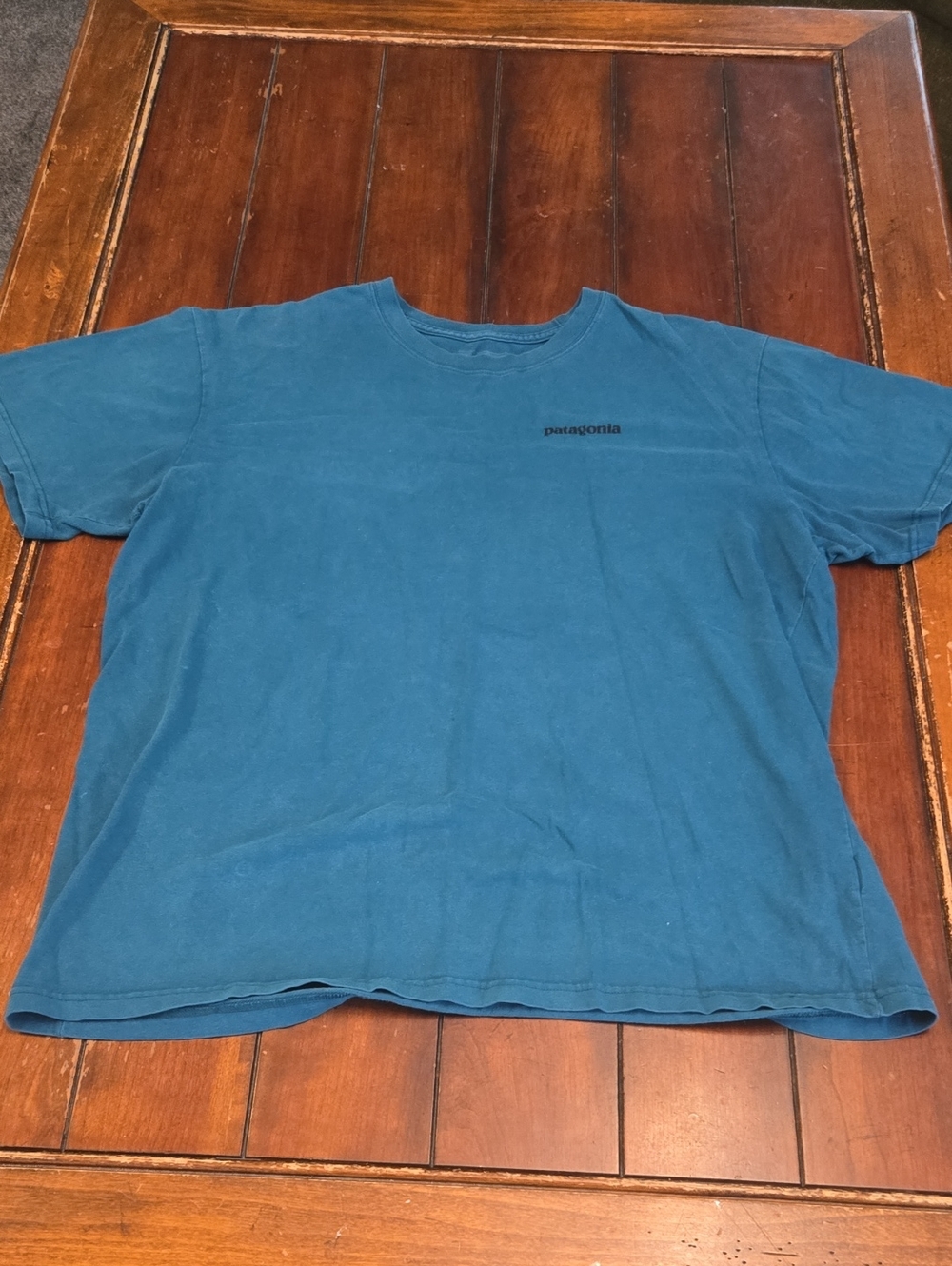 Patagonia Men's Teal Crew Short Sleeve Logo Tee